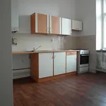 Rent 1 bedroom apartment of 33 m² in Brno