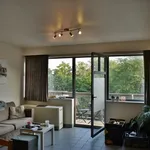 Rent 1 bedroom apartment in Leuven