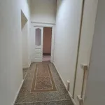 Rent 5 bedroom apartment of 300 m² in Roma