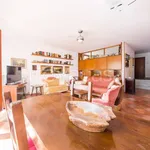 Rent 4 bedroom apartment of 130 m² in Bergeggi