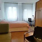 Miete 2 Schlafzimmer wohnung von 1023 m² in vienna