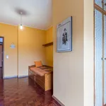 Rent 6 bedroom apartment in Porto