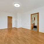 Pronajměte si 4 ložnic/e byt o rozloze 95 m² v Capital City of Prague