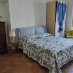 Rent 2 bedroom apartment of 80 m² in Roma