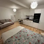 Studio of 29 m² in Prague