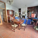 Rent 5 bedroom apartment of 140 m² in Rimini