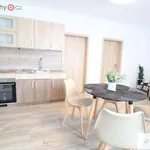 Rent 2 bedroom apartment in Roudná