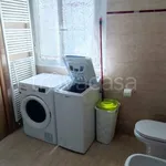 Rent 2 bedroom apartment of 45 m² in Bologna