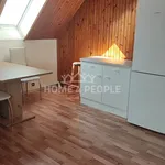 Rent 1 bedroom apartment of 50 m² in Plzeň