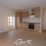 Rent 1 bedroom apartment of 43 m² in La ville de Jaunay-Clan 