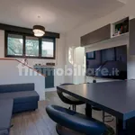 Rent 2 bedroom apartment of 50 m² in Bologna