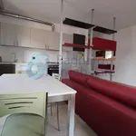 Rent 2 bedroom apartment of 50 m² in Novara