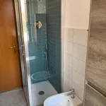 Rent 2 bedroom apartment in Bologna