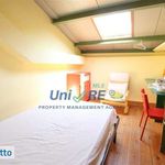 Rent 2 bedroom apartment of 55 m² in Catania