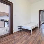 Rent 1 bedroom apartment in Brno