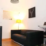 Rent 1 bedroom apartment of 55 m² in porto