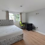 Rent a room in Wales