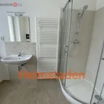 Rent 2 bedroom apartment of 47 m² in Ostrava