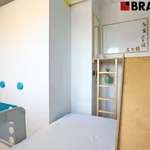 Pronajměte si 3 ložnic/e byt o rozloze 55 m² v Brno