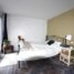 Rent 1 bedroom apartment in Brugge