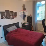 Rent 3 bedroom apartment of 85 m² in Bologna