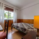 Rent a room in lisbon