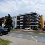 Rent 2 bedroom apartment of 43 m² in Nowy Sącz