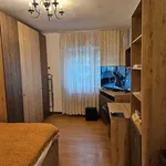 Rent 1 bedroom apartment in Grădinari