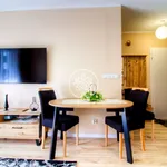 Rent 2 bedroom apartment of 36 m² in Toruń