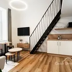 Rent 1 bedroom apartment of 30 m² in Brno