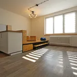 Rent 1 bedroom apartment in Brno