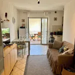 Rent 3 bedroom apartment of 65 m² in Alba Adriatica