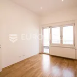 Rent 4 bedroom apartment of 170 m² in Zagreb