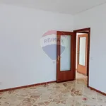 Affitto 5 camera appartamento di 130 m² in Palermo