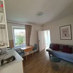 Rent 2 bedroom apartment of 35 m² in Kyjov