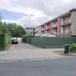 Rent 2 bedroom apartment in Wommelgem