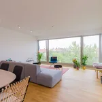 Rent 3 bedroom apartment of 156 m² in Berlin