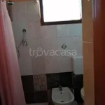 Rent 1 bedroom apartment of 35 m² in Cagliari