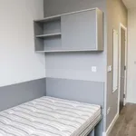 Rent 8 bedroom apartment in dublin