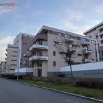 Rent 2 bedroom apartment of 44 m² in Trhový Štěpánov