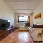 Rent 4 bedroom apartment of 100 m² in Altofonte