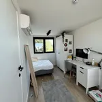 Rent 1 bedroom apartment in Leuven