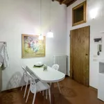 Rent 1 bedroom apartment in Florence