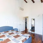 Rent 3 bedroom apartment of 80 m² in Bologna