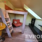 Rent 1 bedroom house of 150 m² in Liberec (nečleněné město)