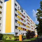 Rent 4 bedroom apartment of 70 m² in Chemnitz