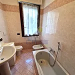 Rent 3 bedroom apartment of 100 m² in Cremona