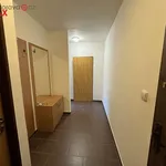 Rent 3 bedroom apartment of 60 m² in Trhový Štěpánov