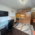 Rent 1 bedroom apartment in Plzeň