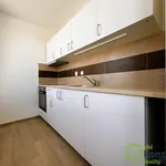 Rent 2 bedroom apartment in Brno